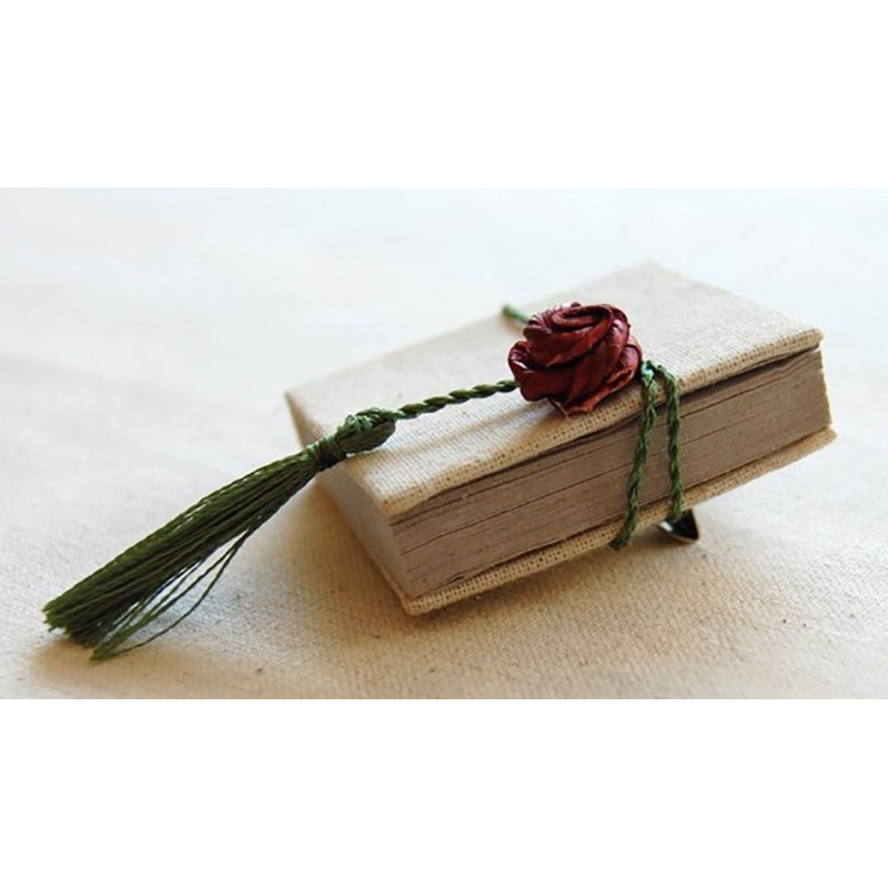 Broche libro