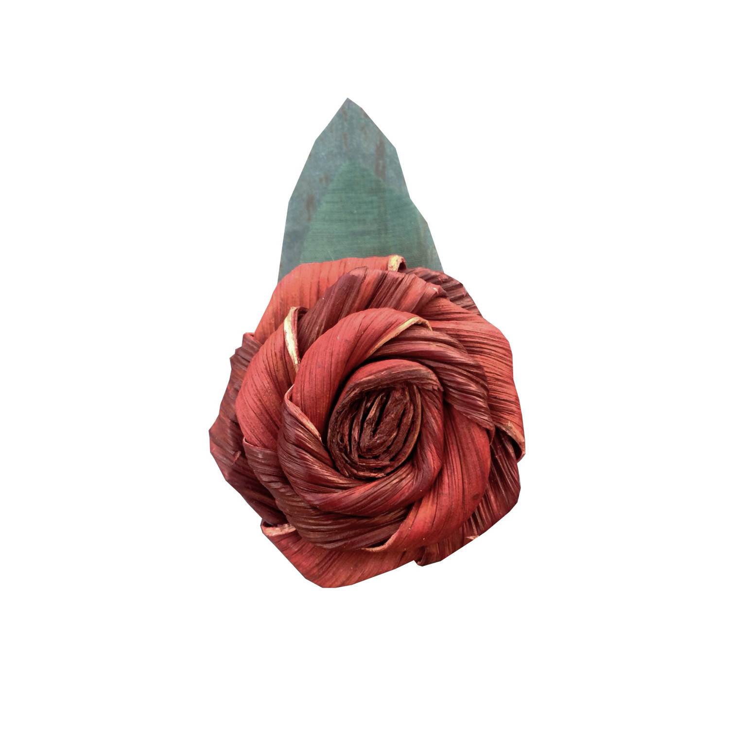 Imán rosa araconut
