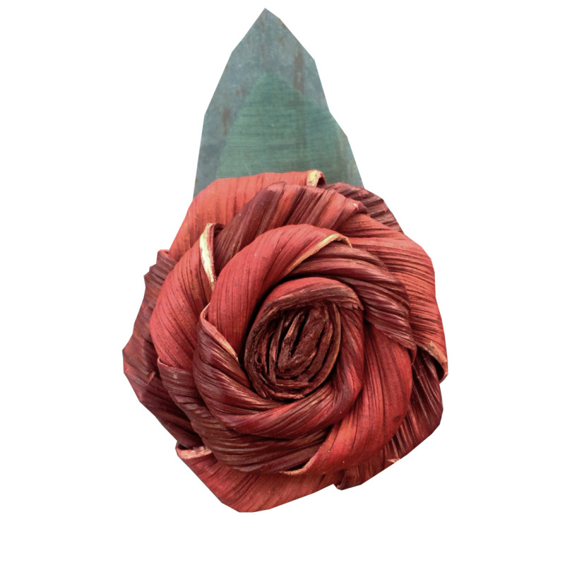 Imán rosa araconut