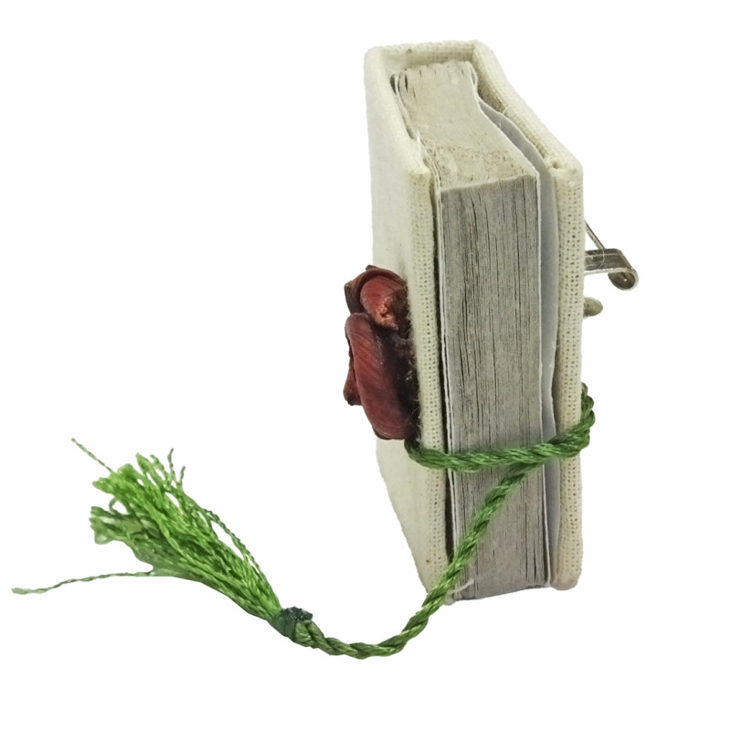 Broche libro