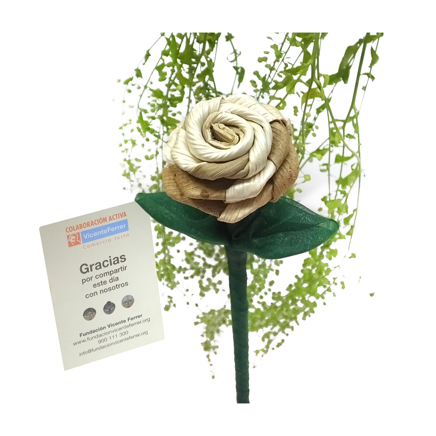 Rosa araconut natural
