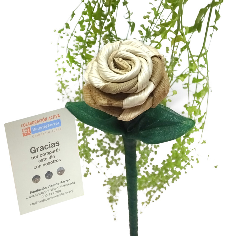 Rosa araconut natural