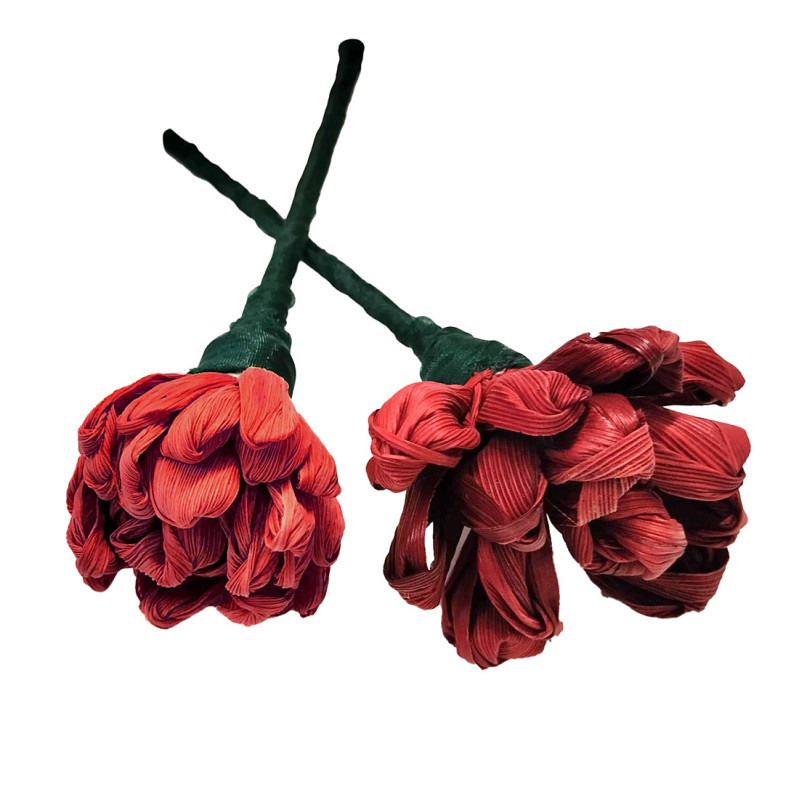 Flores maiz